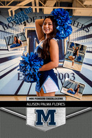 Millbrook Sideline Cheer